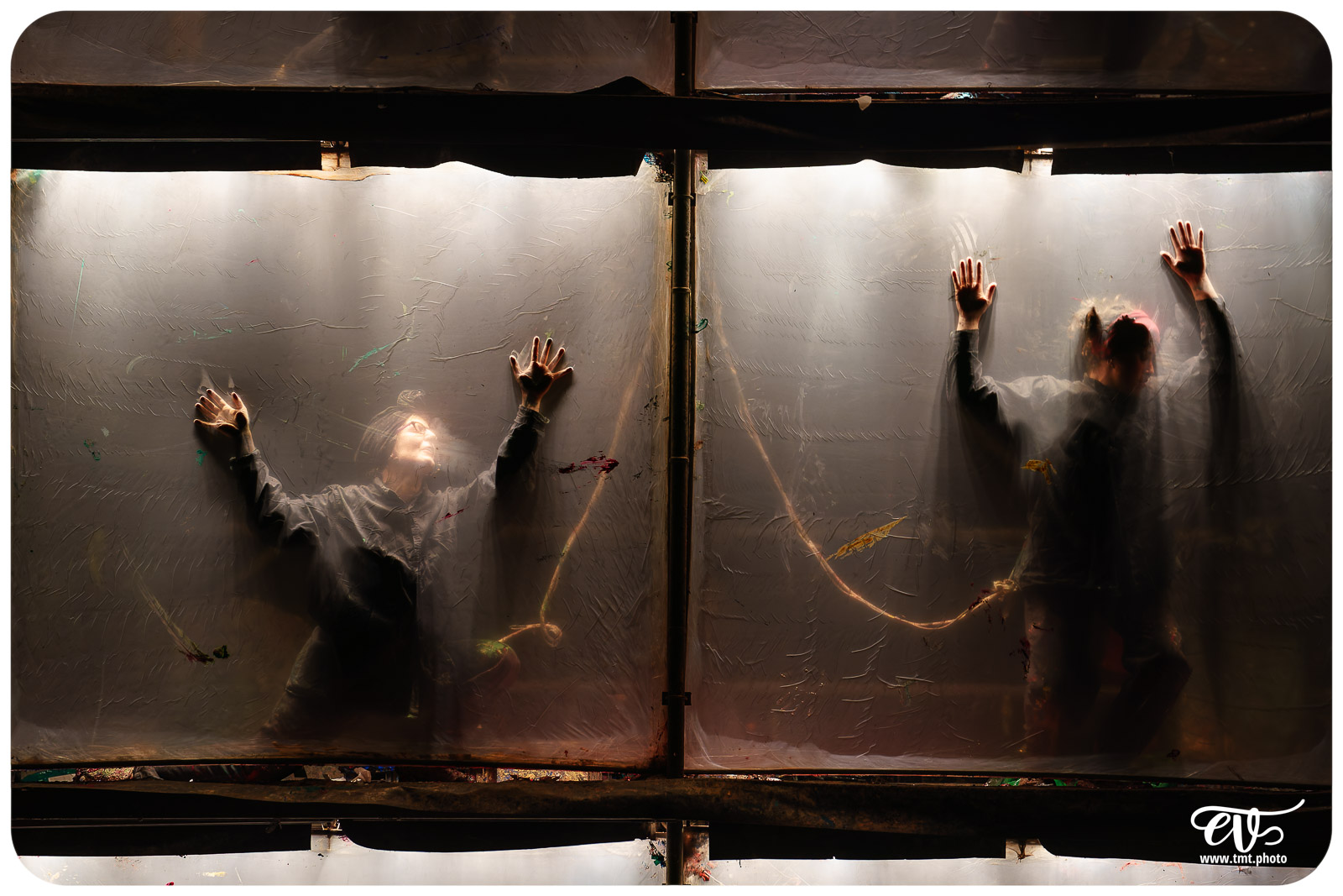 TMTPHOTO LA TORTUE DE GAUGUIN 066